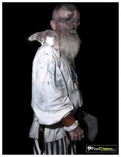 Gallery photo 1 of Highland Rogues