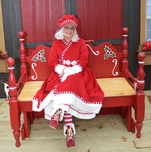 Gallery photo 4 of Hilltop Santa and Mrs Claus