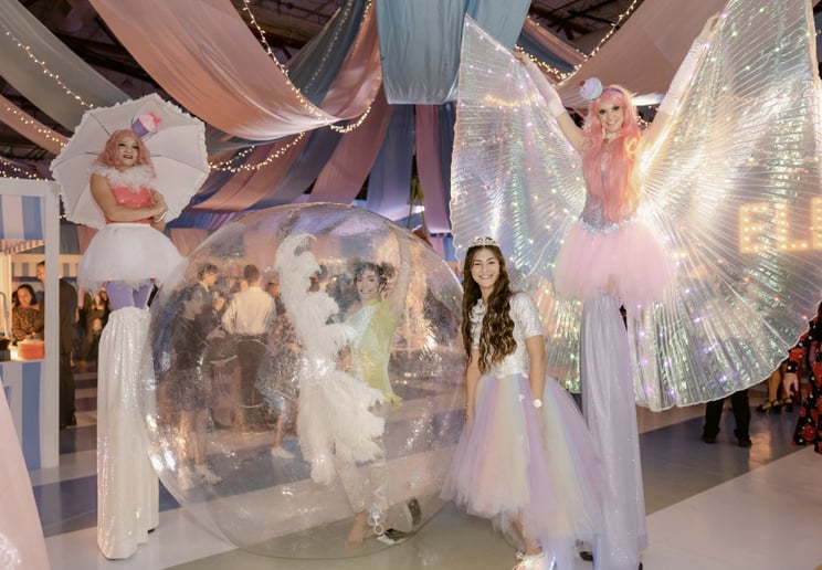 Gallery photo 9 of Silks + Fire Productions