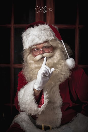 Gallery photo 4 of Ho Ho Santa and Friends
