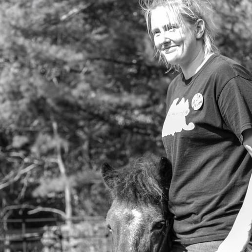 Gallery photo 1 of Hogback Mountain Pony Rides, LLC
