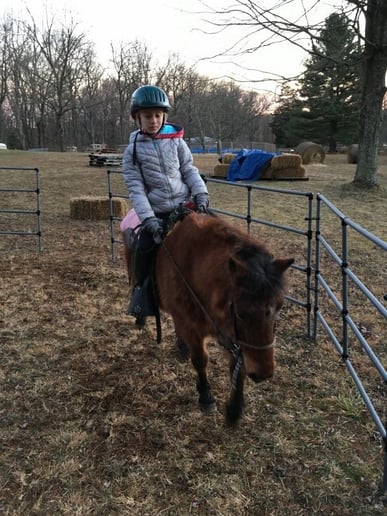 Gallery photo 2 of Hogback Mountain Pony Rides, LLC