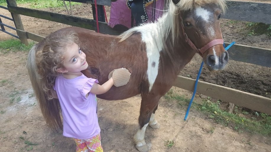 Gallery photo 3 of Hogback Mountain Pony Rides, LLC