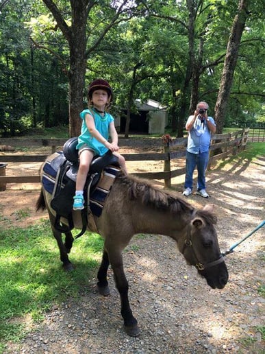 Gallery photo 4 of Hogback Mountain Pony Rides, LLC