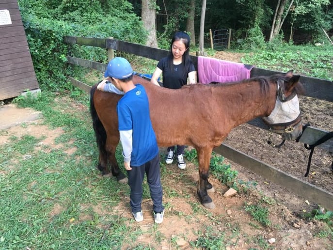 Gallery photo 5 of Hogback Mountain Pony Rides, LLC