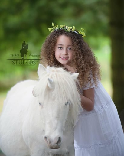 Gallery photo 9 of Hogback Mountain Pony Rides, LLC