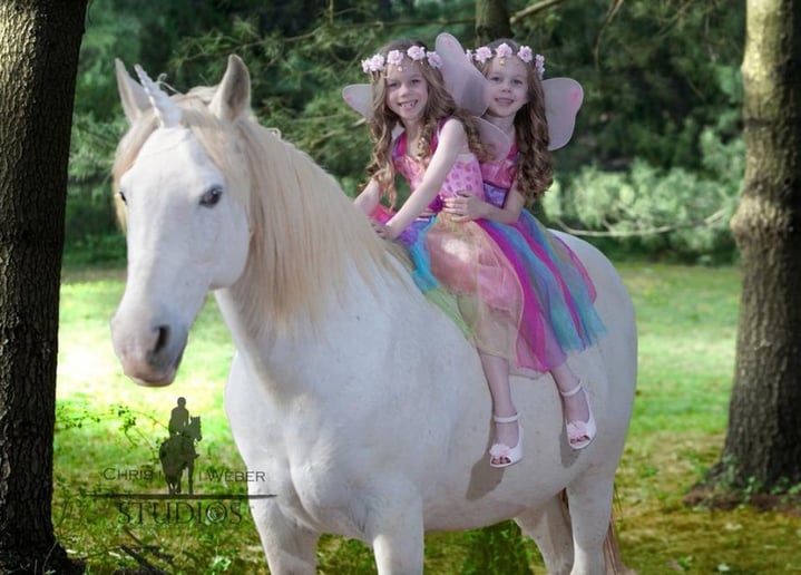 Gallery photo 10 of Hogback Mountain Pony Rides, LLC