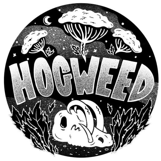 Gallery photo 3 of Hogweed