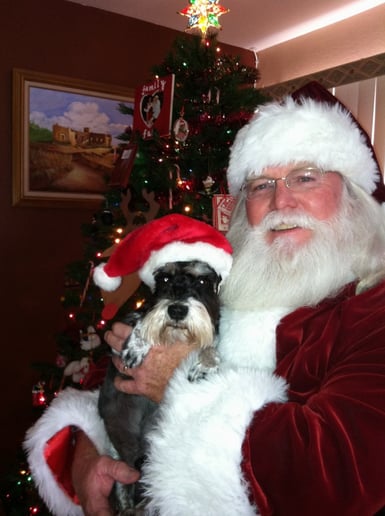 Gallery photo 1 of Holiday Masters