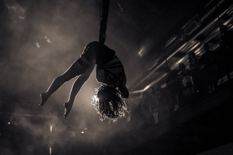 Gallery photo 2 of JB Entertainment - Aerial & Circus Arts