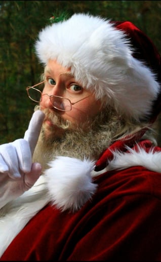 Gallery photo 3 of Holly Jolly LLC