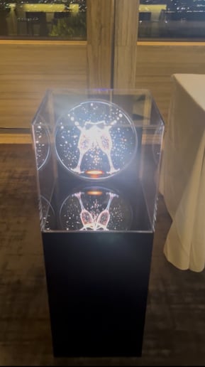 Gallery photo 2 of Hologram Box Displays