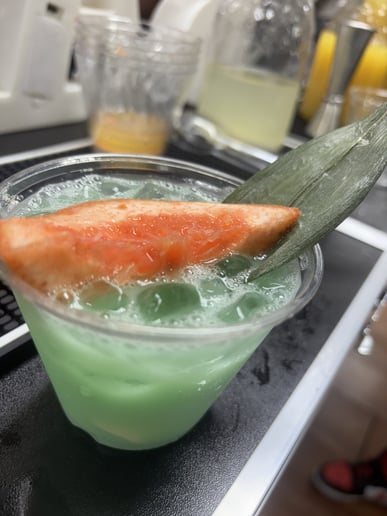 Gallery photo 6 of Honey Bee Bartending Bootcamp