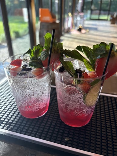 Gallery photo 12 of Honey Bee Bartending Bootcamp