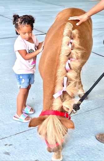 Gallery photo 3 of Hoofprints Horsemanship