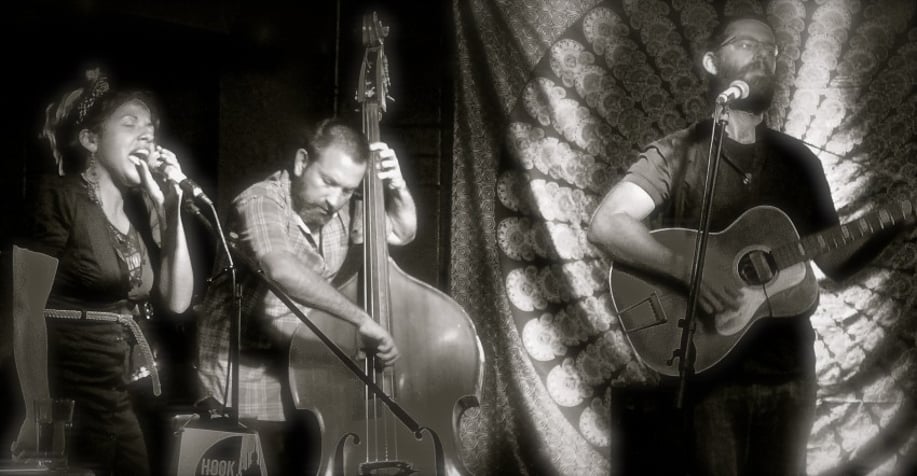 Gallery photo 1 of Misty Mountains Entertainment