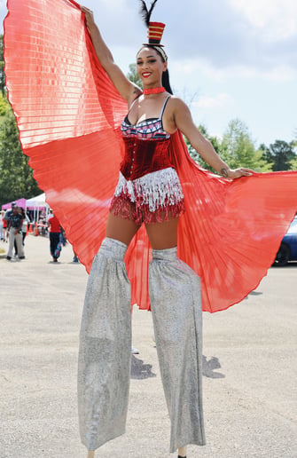 Gallery photo 12 of Hoopsista