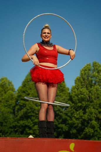 Gallery photo 2 of Hoopwright
