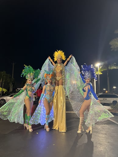 Gallery photo 8 of Hora Loca Samba Show