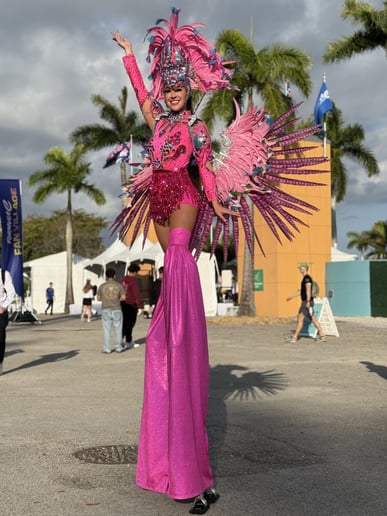 Gallery photo 18 of Samba Queens Premium Entertainment