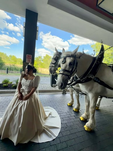 Gallery photo 1 of Horse and Carriage Rides of Central Ma
