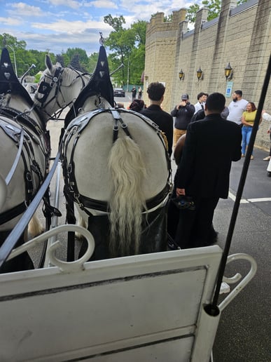 Gallery photo 2 of Horse and Carriage Rides of Central Ma