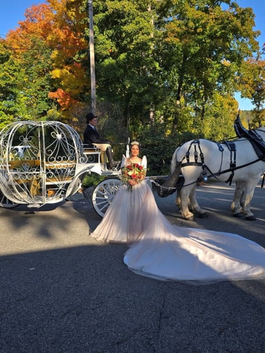Gallery photo 3 of Horse and Carriage Rides of Central Ma