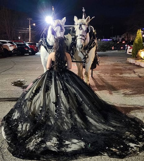 Gallery photo 4 of Horse and Carriage Rides of Central Ma