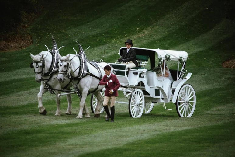 Gallery photo 5 of Horse and Carriage Rides of Central Ma