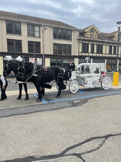Gallery photo 4 of Horsing Round Carriage Service