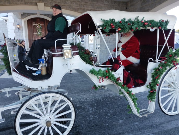 Gallery photo 6 of Horsing Round Carriage Service