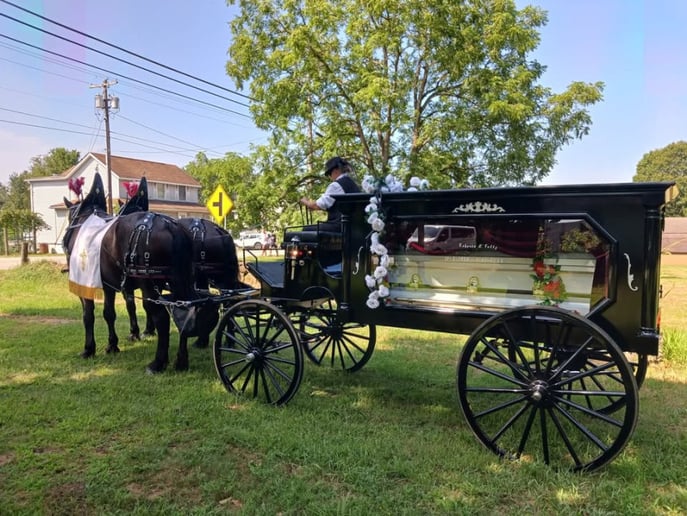 Gallery photo 5 of Horsing Round Carriage Service