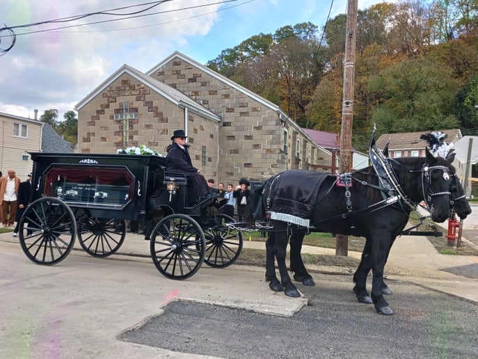 Gallery photo 8 of Horsing Round Carriage Service