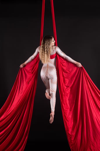 Gallery photo 12 of JoceFireLily of Fire Lily Entertainment