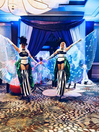 Gallery photo 1 of House of Cirque