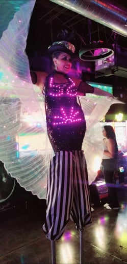 Gallery photo 10 of House of Cirque