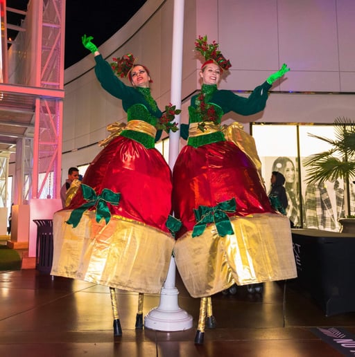 Gallery photo 5 of House of Cirque