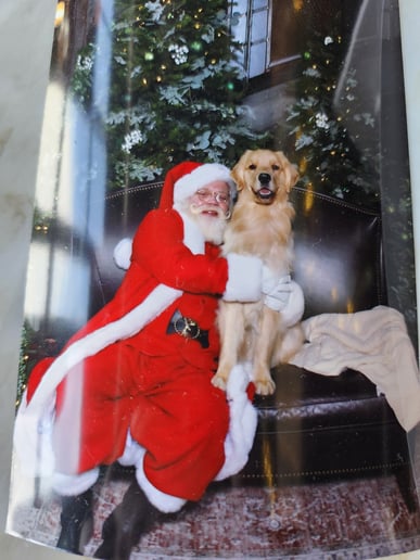 Gallery photo 1 of Santa Robert