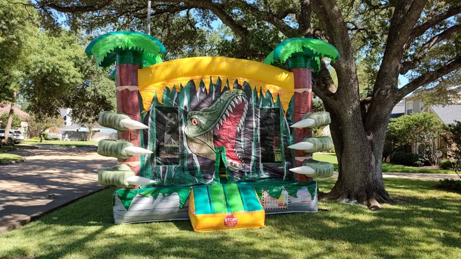 Gallery photo 7 of Houston Inflatable Rentals