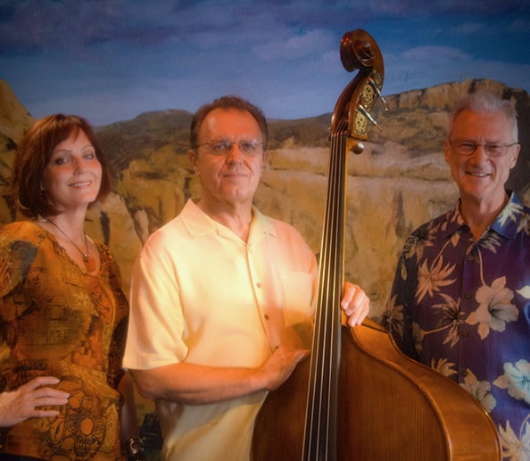 Gallery photo 6 of Leanne and Friends Music