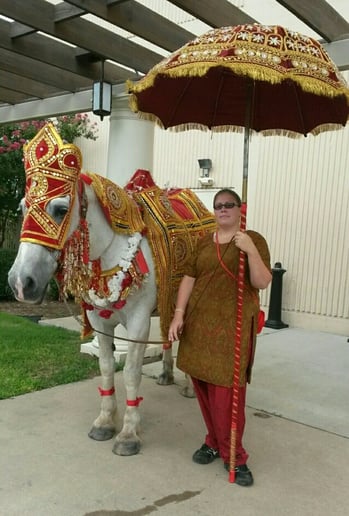 Gallery photo 1 of Houston Wedding Horses