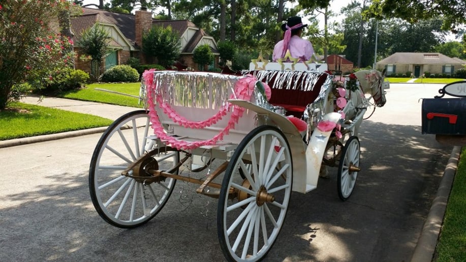 Gallery photo 2 of Houston Wedding Horses