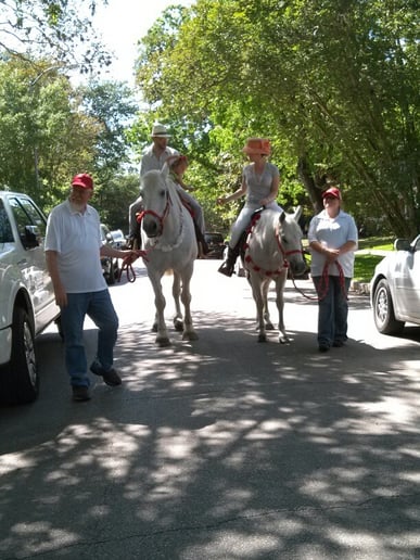 Gallery photo 3 of Houston Wedding Horses