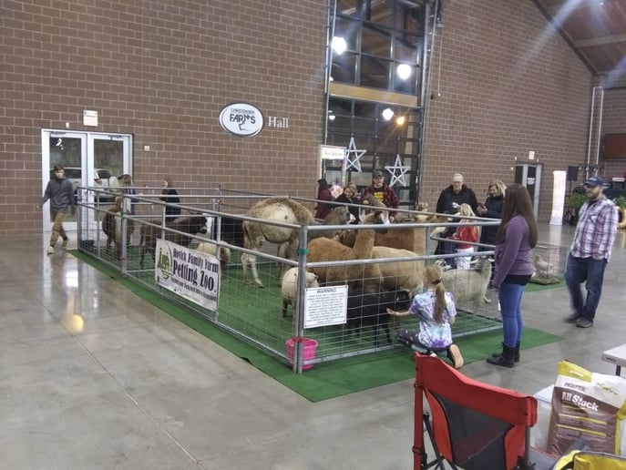 Gallery photo 6 of Hovick Family Farm Petting Zoo