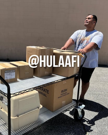 Gallery photo 26 of Hula Afi