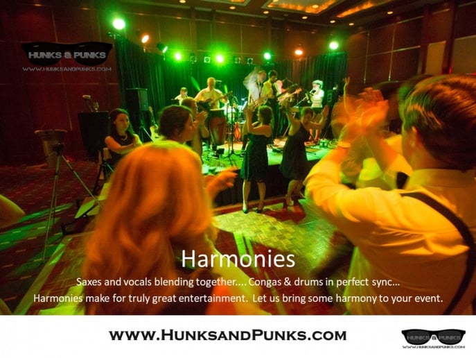 Gallery photo 3 of Hunks and Punks Band Inc.