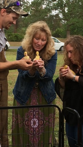 Gallery photo 9 of Hunny's Funny Farm