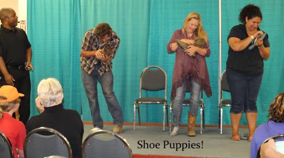 Gallery photo 3 of Hypnotist Frank Lee
