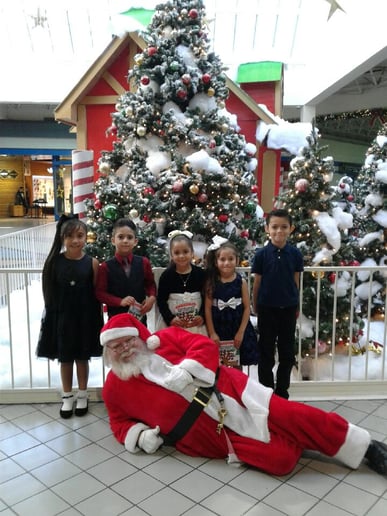 Gallery photo 8 of Santa Teddy