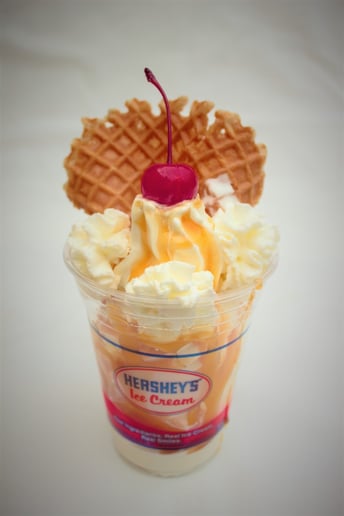 Gallery photo 4 of Ice Cream Truck